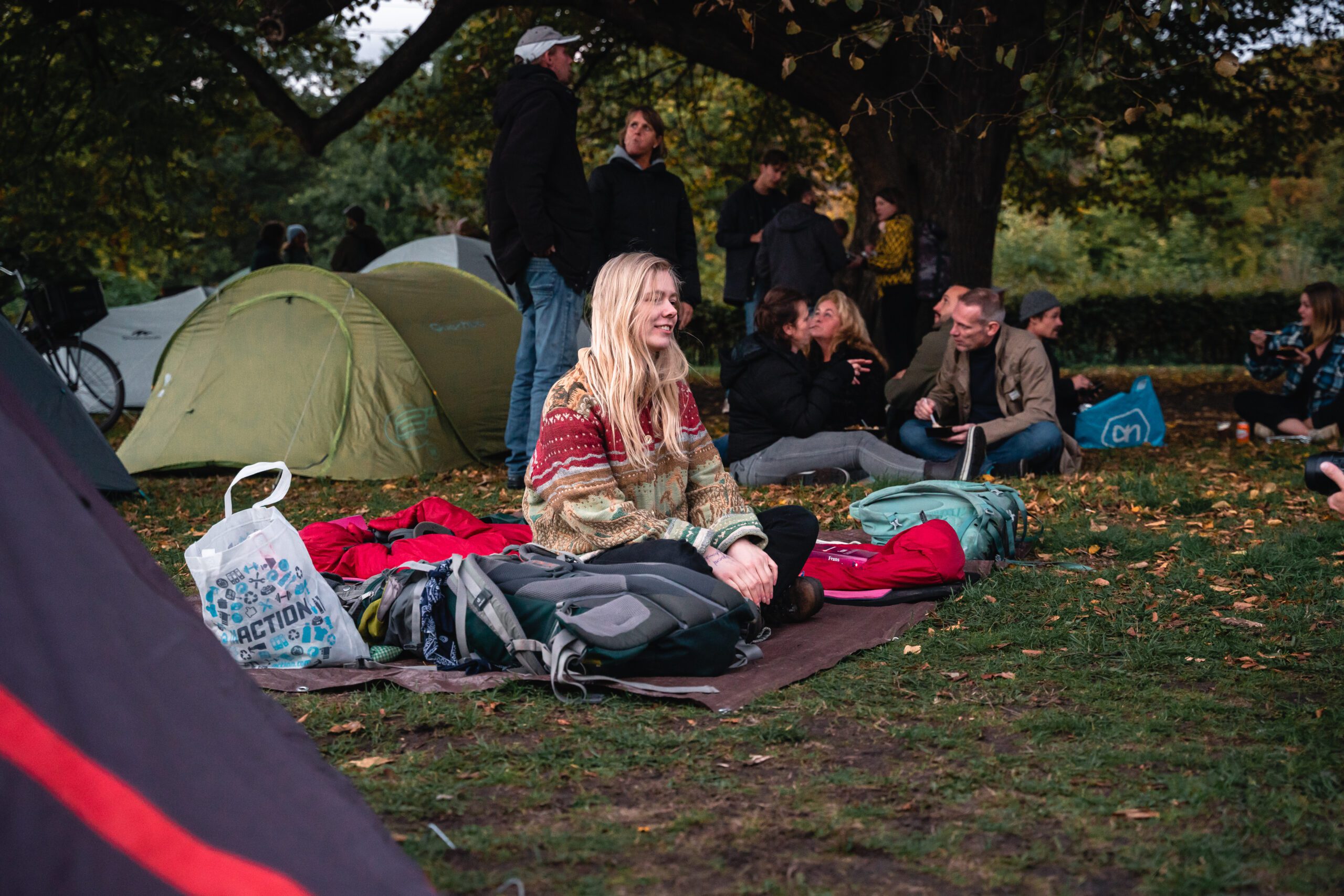 promotieonderzoek hans stegeman